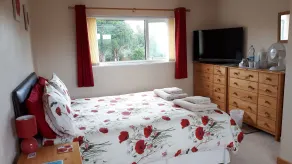 Pendine Sands Guest House - Room