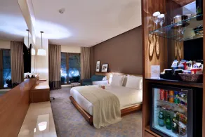 Dosso Dossi Hotels & SPA Downtown - View from room