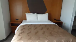Quality Inn & Suites Raleigh North - Room