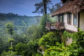 Nandini Jungle by Hanging Gardens - View from room