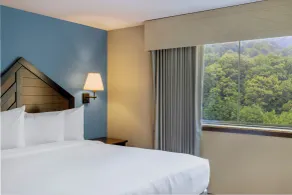 Camelback Resort - Chambre