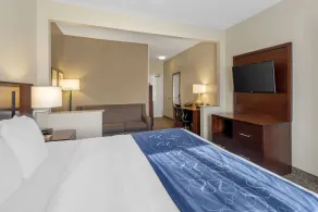 Comfort Suites Normal University area - Chambre