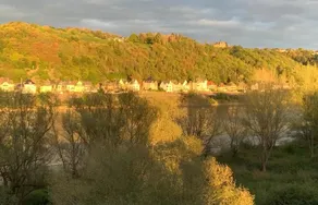 RheinVilla ARTE - View from room