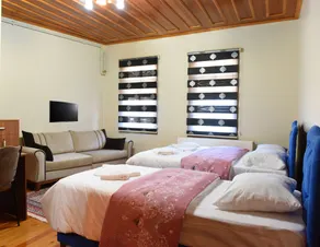 ÖZ Butik Otel Antik Kent Myrleia - Room
