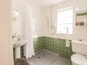 Ducks Ditty - Bathroom