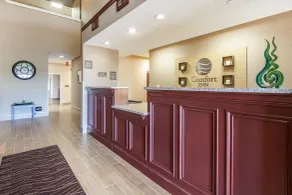 Comfort Inn Lexington South - Lobby