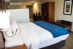 Comfort Suites El Paso Airport - Vue de la chambre