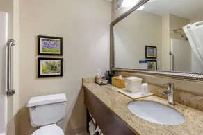 Comfort Inn & Suites Kelso - Longview - Salle de bain