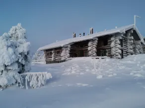 Sielikkö Arctic Log Villas - Værelse