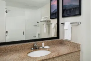 Fairfield Inn & Suites by Marriott Chesapeake Suffolk - Salle de bain