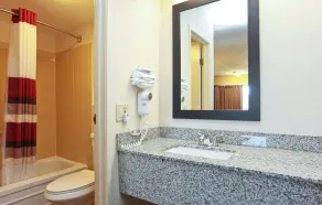 Red Roof Inn Michigan City - Bathroom