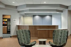 Springhill Suites by Marriott Frankenmuth - Réception