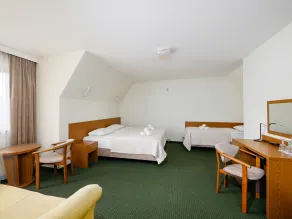 Pensjonat Dziubas - 5 minut na piechotę do stacji narciarskiej Kotelnica i term Bania, parking przy obiekcie - Room