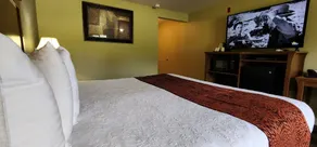 Cowlitz River Lodge - Room