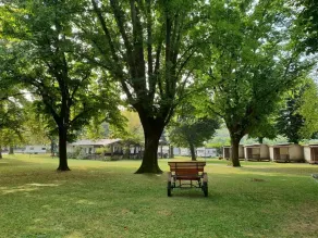 International Camping No Stress - Hage