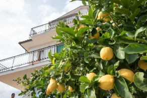 Residence Oleandro - Ausblick vom Zimmer