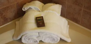 Cedar Meadows Resort & Spa, an Ascend Collection Resort - Vue de la chambre