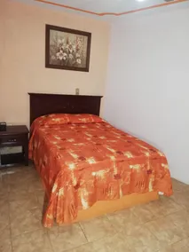 Hotel Villa De Las Flores - Chambre
