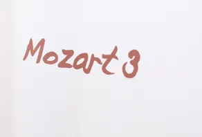 Residence Mozart by Welcome to Salzburg - Camera