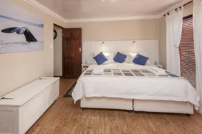 White Shark Guest House - Room