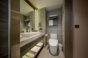 GOGO Hotel Fengchia - Badeværelse