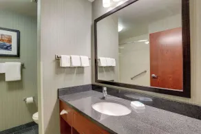 Drury Inn & Suites Grand Rapids - Salle de bain