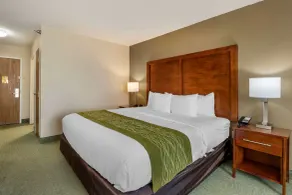 Comfort Inn Muscatine near Hwy 61 - Zimmer