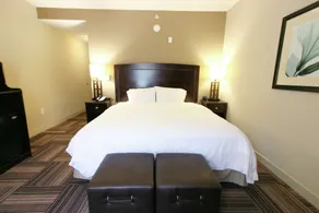 Hampton Inn & Suites by Hilton Flowery Branch Lake Lanier - Room