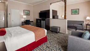 Best Western Spring Hill Inn & Suites - Chambre