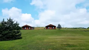 Cedar Shore Resort - Chambre