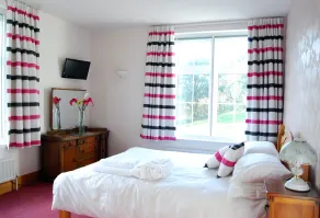 Lower Winsford Apartments & Rooms - Habitación