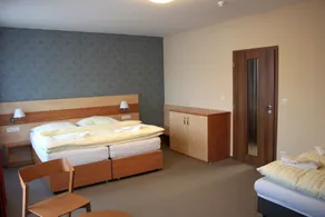 Hotel Toč - Habitación