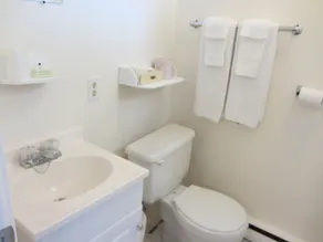 The Maplewood Motel - Baño