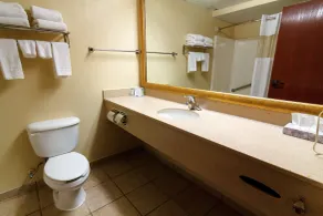 Hotel M Mount Pocono - Salle de bain