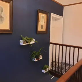 Penygelli Apartments - Reception