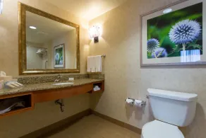 Hilton Garden Inn Cedar Falls - Chambre
