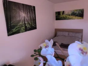 Appartement Redhouse - Room