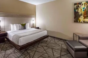 Comfort Inn & Suites Houston I-45 North - IAH - Chambre