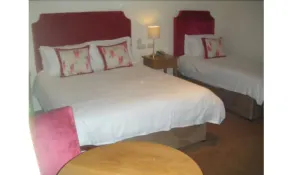 Casey's Hotel - Room