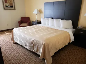 Quality Inn & Suites Sellersburg - Louisville Area - Chambre