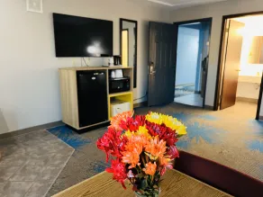 Days Inn by Wyndham Jamestown - Chambre