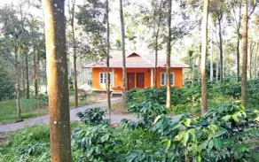 Himadri Retreat Wayanad - View from property