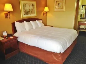 Americas Best Value Inn Monroeville - Værelse