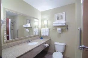 Comfort Suites Mobile-South Alabama University Area - Badezimmer