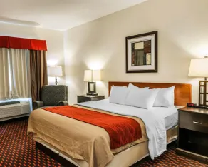Comfort Inn Avon-Indianapolis West - Chambre