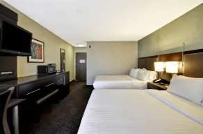 Holiday Inn Express Romulus / Detroit Airport by IHG - Vue de la chambre