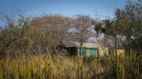 Boteti Tented Safari Lodge - View from room