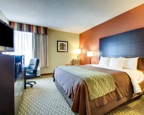 Comfort Inn Meridian - Bonita Lakes - Chambre
