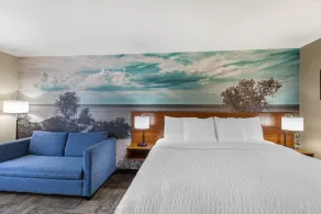 Clarion Pointe Racine - Mount Pleasant - Chambre