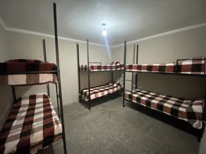 Urban Jungle Hostel - Chambre